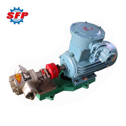 Electric Hot Cooking Oil Pump